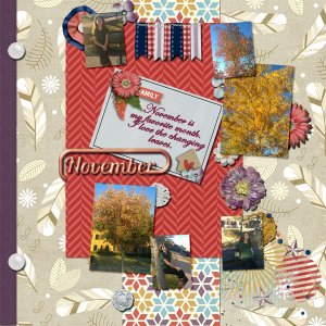 November Bliss