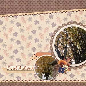 Sweet Autumn