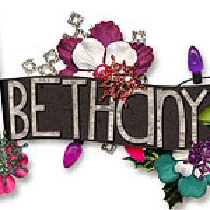 November Siggy Challenge