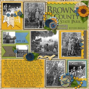 Brown County