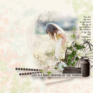 01-Dearest-Rose