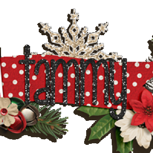 Nov Siggy Challenge