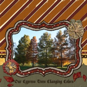 Fall in Texas - Cypress Trees Changing Colors