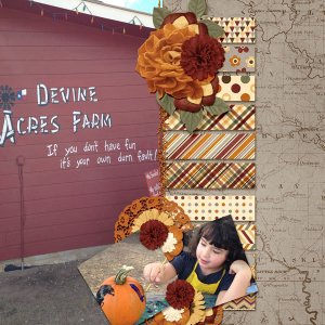 Devine Acres Fun