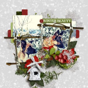 WinterBeauty