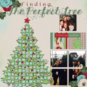 Finding the Perfect Tree
