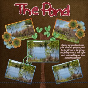 The Pond