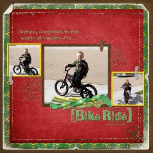 Pleasure of a Bike Ride