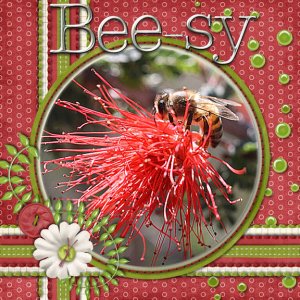 Bee