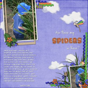 Any Spiders in There?