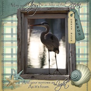 Heron