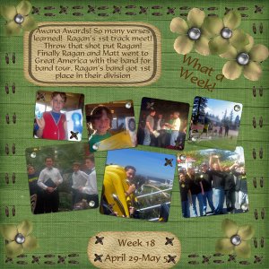 Project 52 week 18