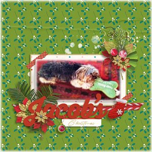 Jacob's Christmas
