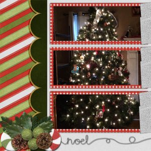 our tree