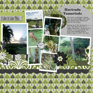 Vieques Island