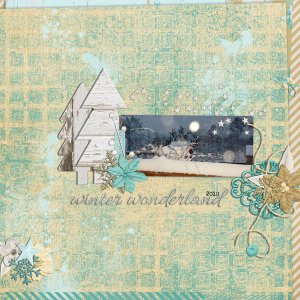winter wonderland