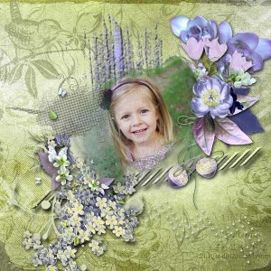 Myosotis