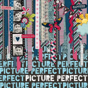PICTUREPERFECT_akizo_PWPapers2-copy