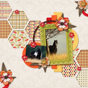 Horses in Tall Grass