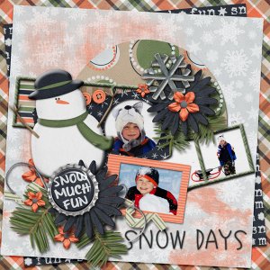 Snow Much Fun/