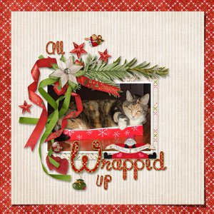 All Wrapped Up