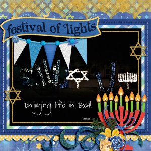 Hanukkah Lights in Boca