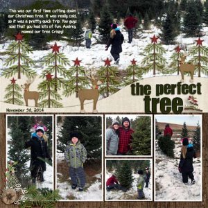 The_Perfect_Tree_2014_copy