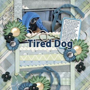 Tired Dog