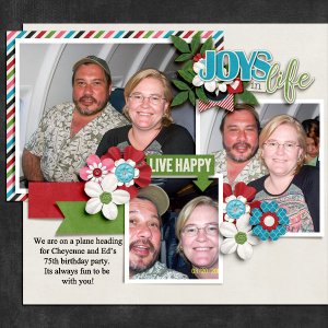 Joys in Life