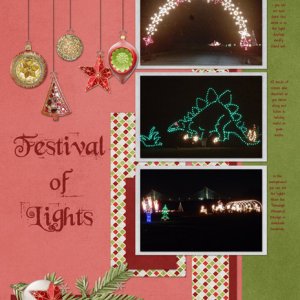 Festival of Lights 2014