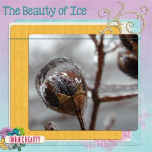 Beauty of Ice