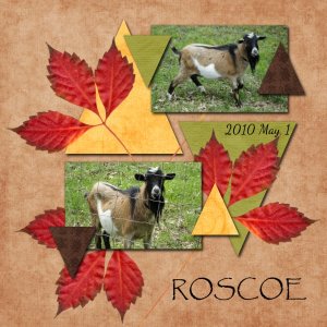 Roscoe