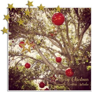 Merry Christmas from Western Australia