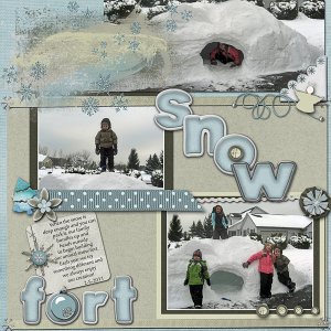 Snow Fort