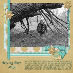 Boxing Day Walk