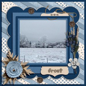 Frost