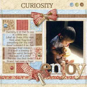 Curiosity