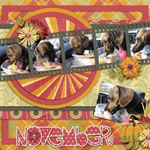 Calender Project Nov 2015