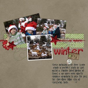 winter joy