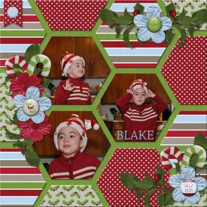 Blake