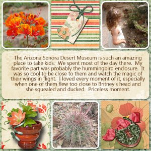 AS Desert Museum