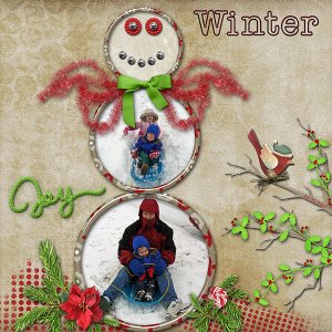 Winter Joy