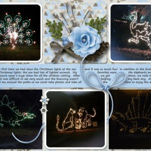 Christmas Lights at the Montgomery Zoo