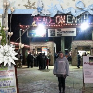 Christmas Lights at the Montgomery Zoo