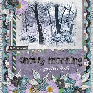 Snowy Morning