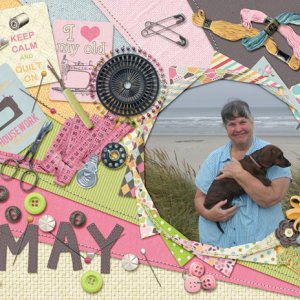 Calender Project May 2015