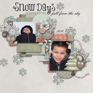 Snow Days