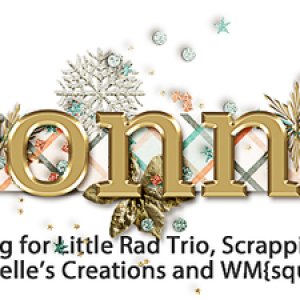 January 2015 Siggie Challenge