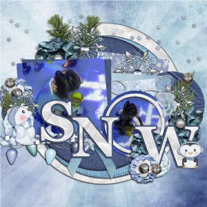 Frozen snow
