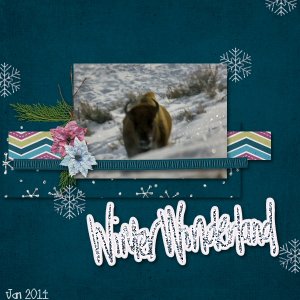 Winter Wonderland